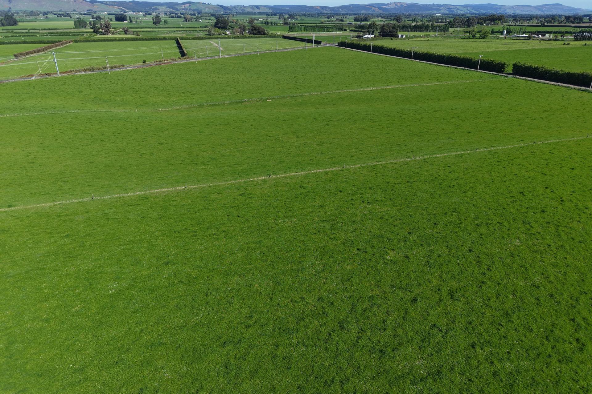 35 Maungatua Road, Taieri Plain