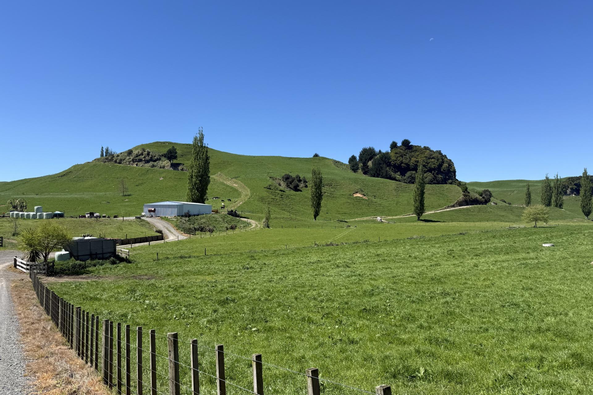 141 Puketirau Road, Tirau