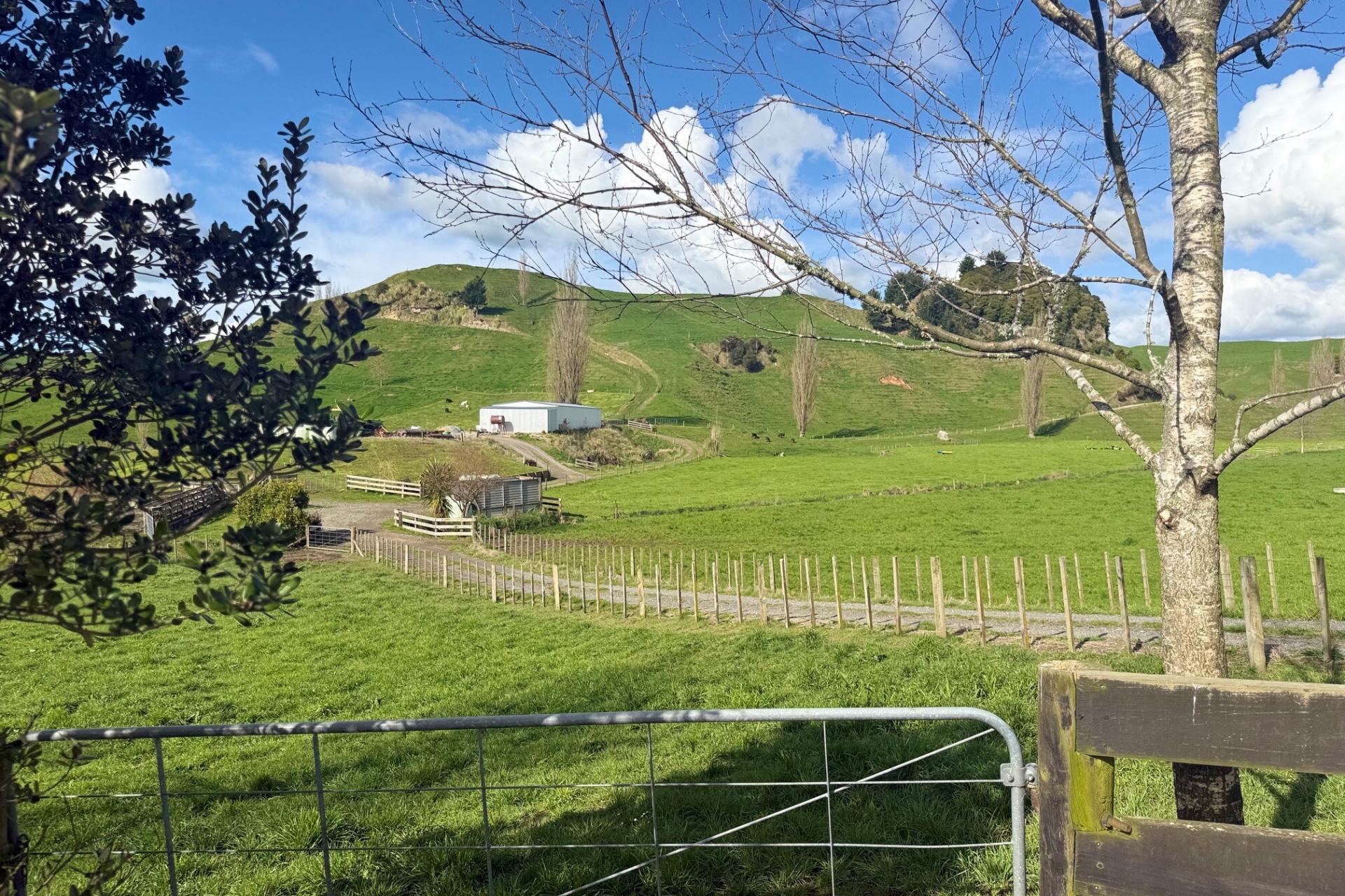 141 Puketirau Road, Tirau