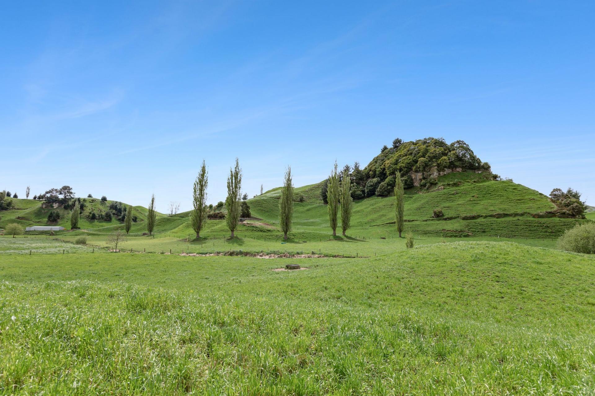 141 Puketirau Road, Tirau