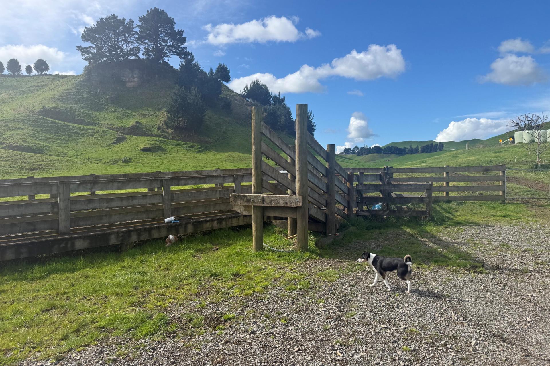 141 Puketirau Road, Tirau
