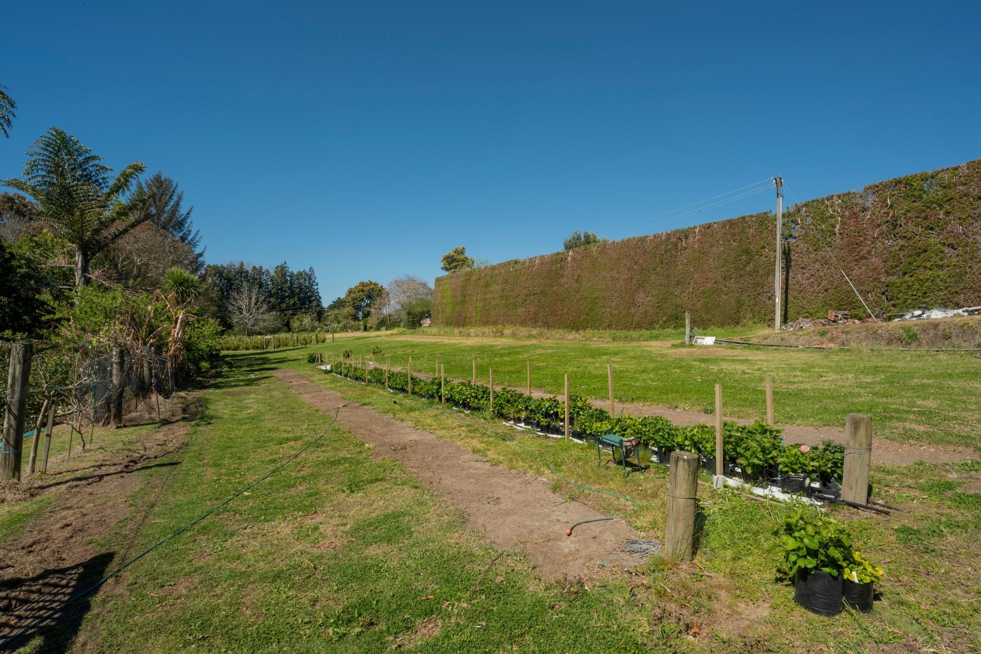 105 Jess Road, Whakamarama