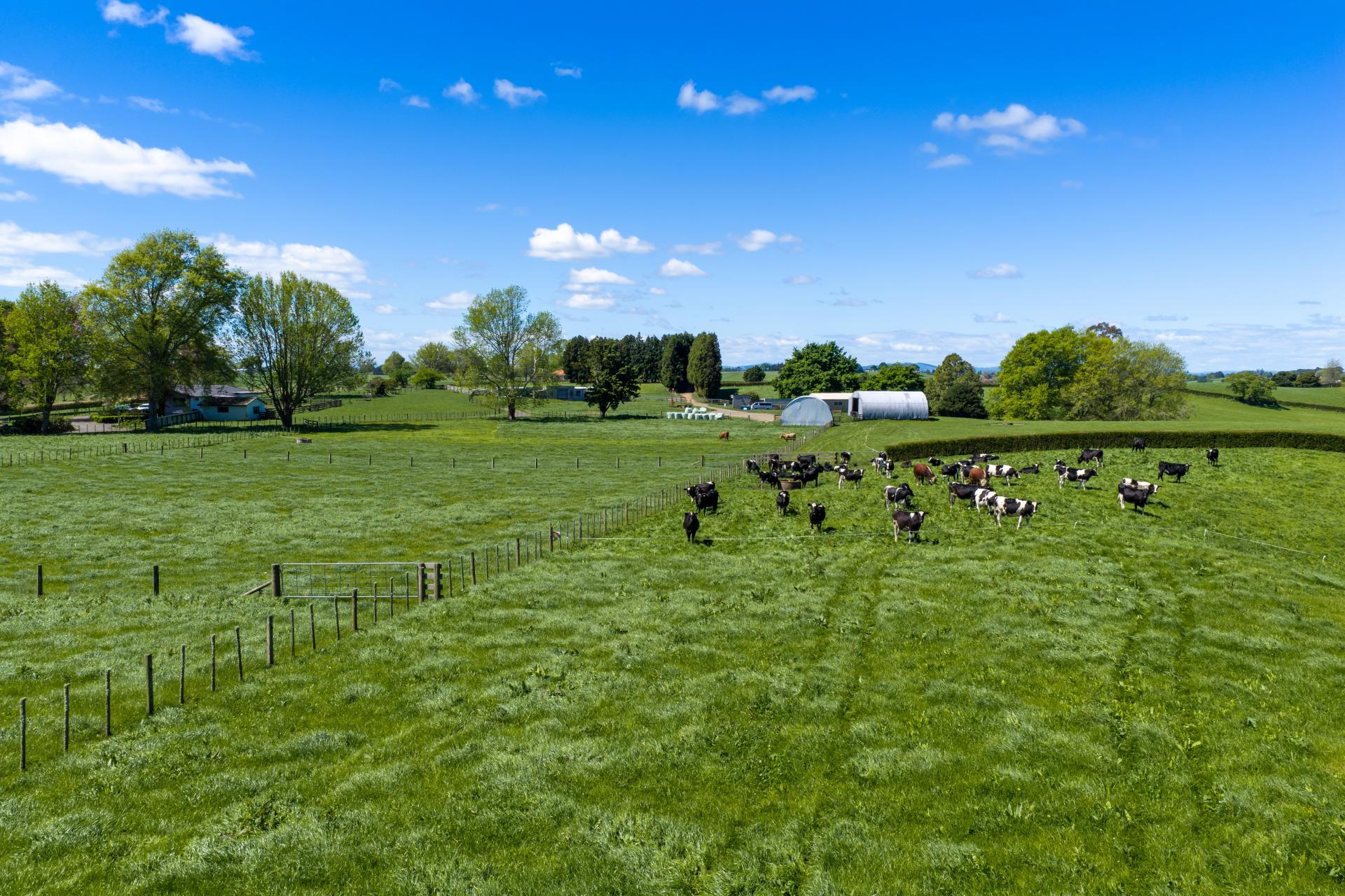 315 Forkert Road, Ohaupo