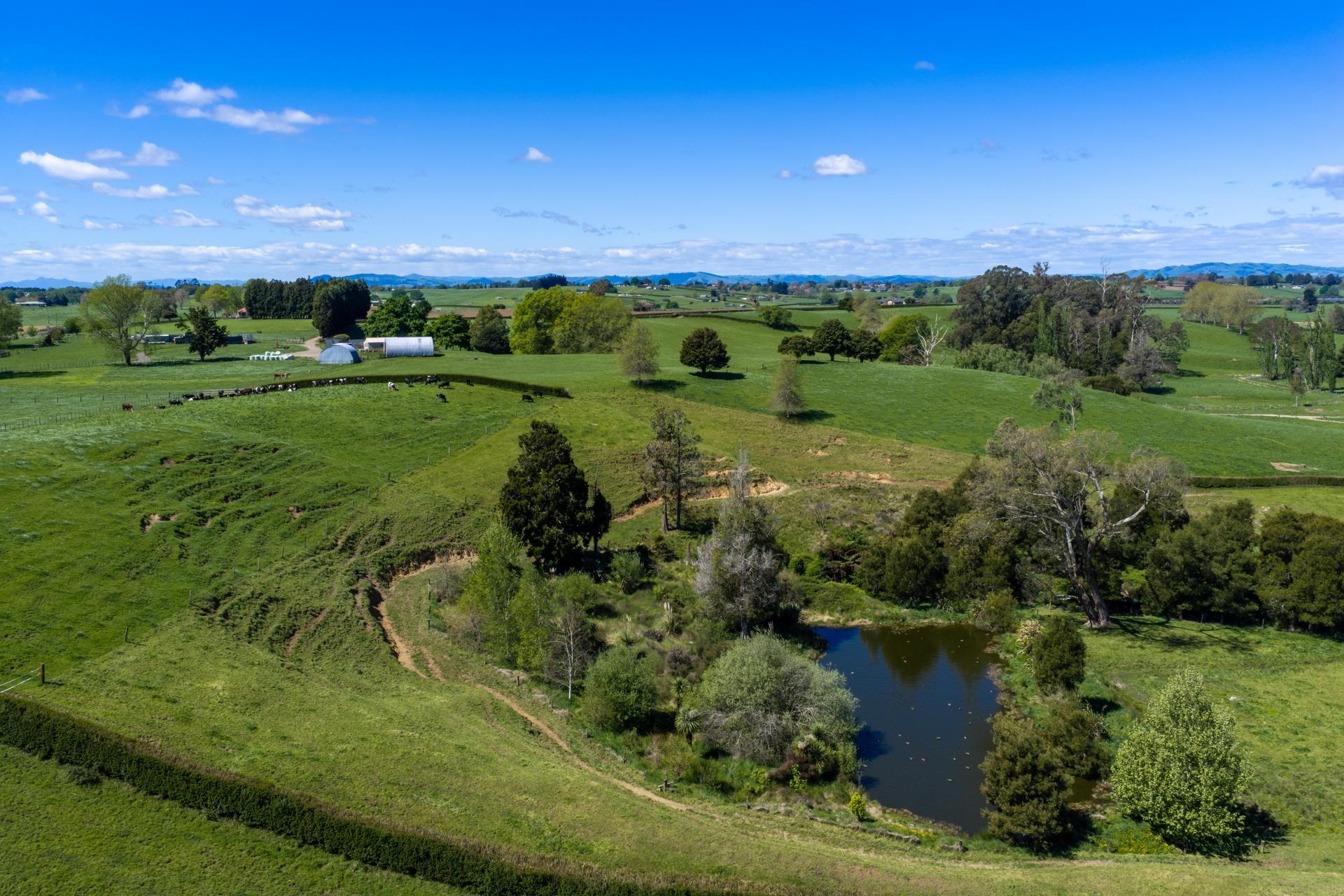 315 Forkert Road, Ohaupo