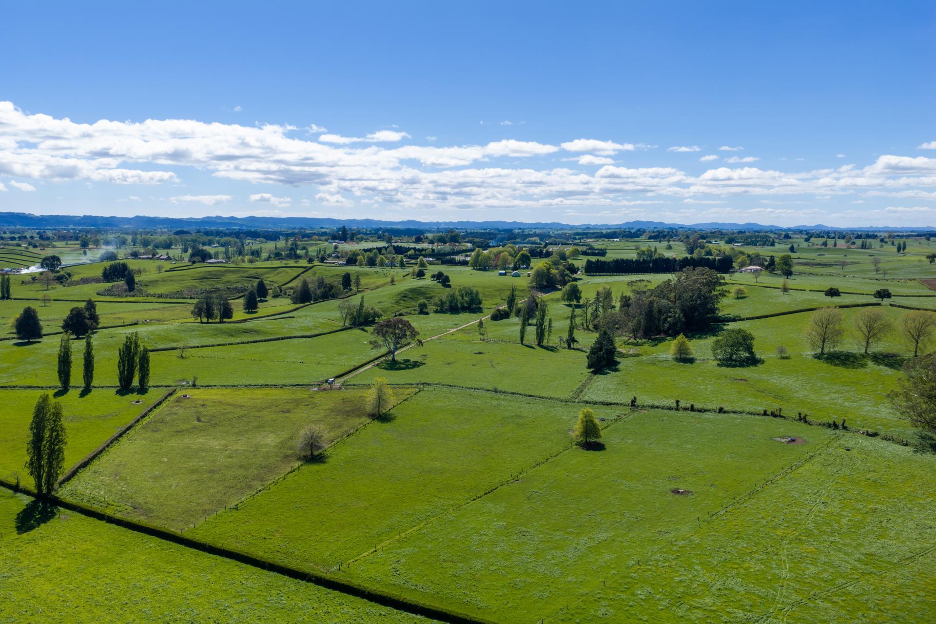315 Forkert Road, Ohaupo