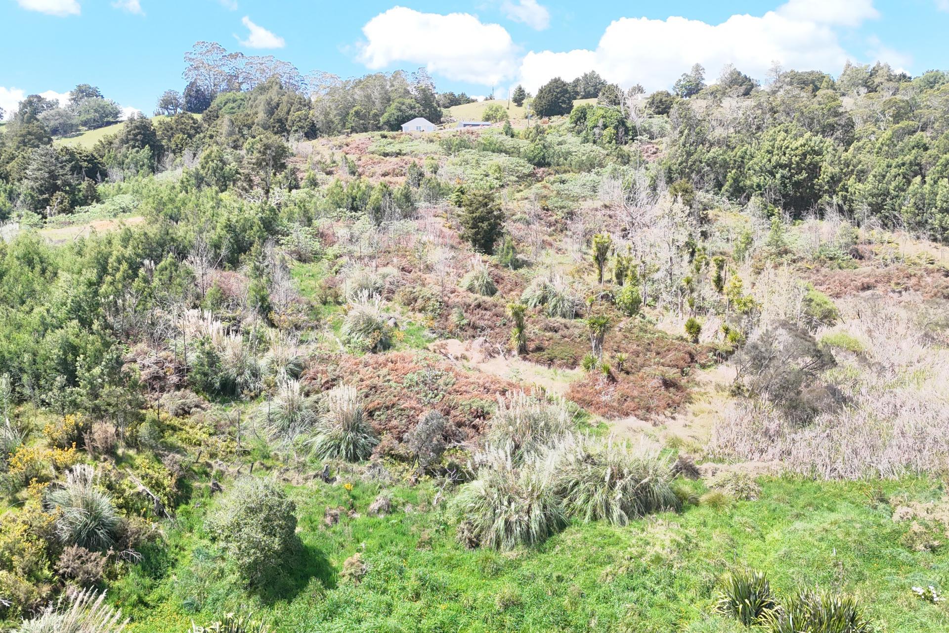 272 Waikuku Road, Waimate North