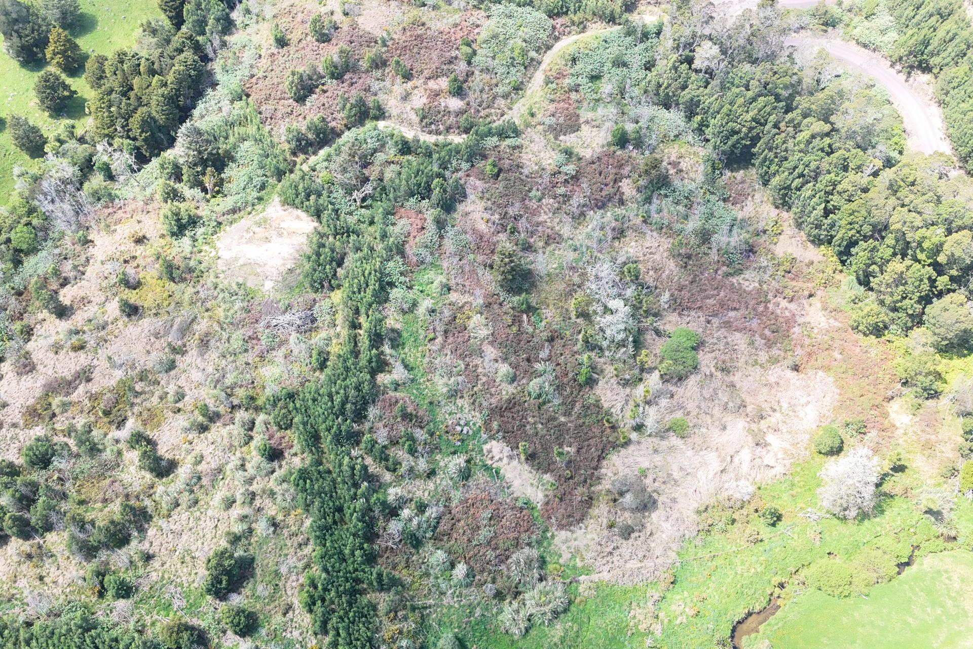 272 Waikuku Road, Waimate North