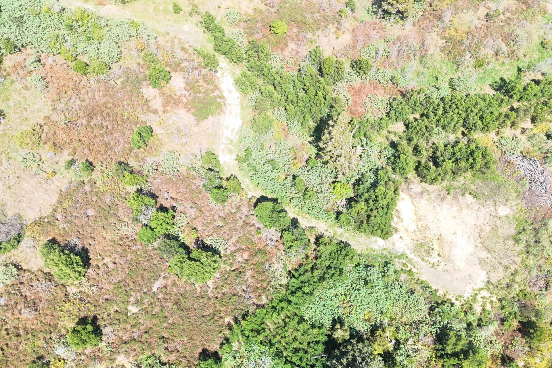 272 Waikuku Road, Waimate North