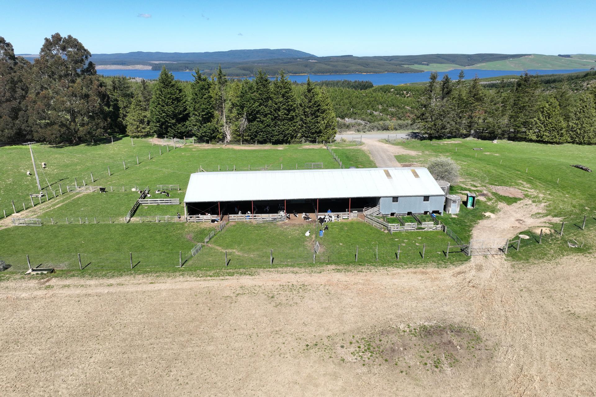 1680 Mahinerangi Road, Lee Stream