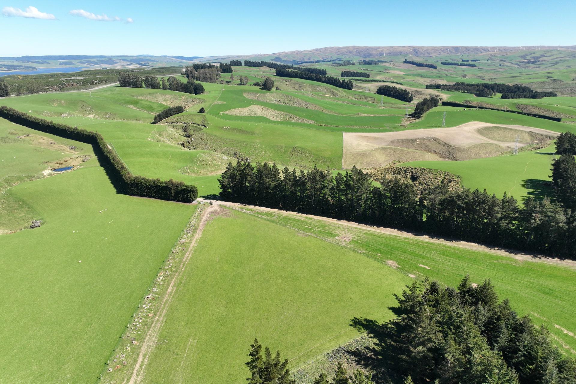 1680 Mahinerangi Road, Lee Stream