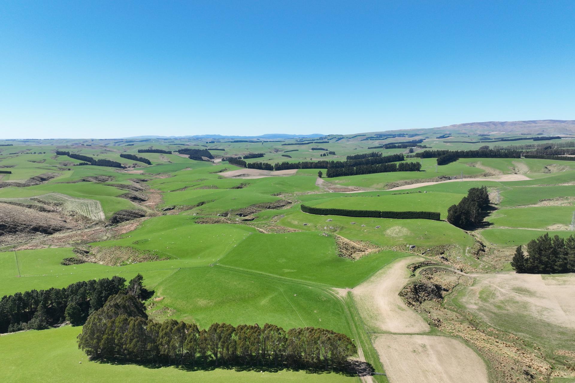 1680 Mahinerangi Road, Lee Stream
