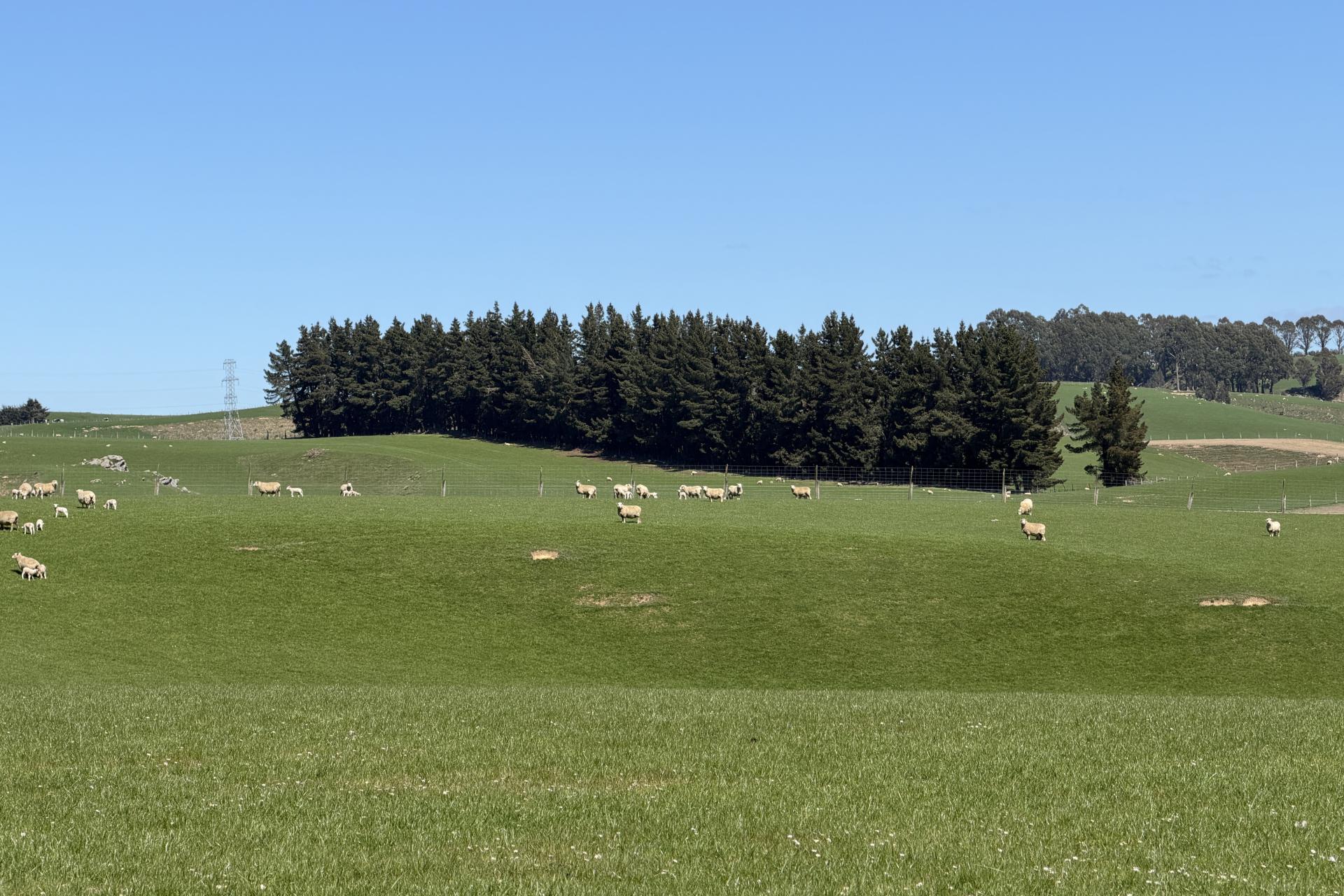 1680 Mahinerangi Road, Lee Stream