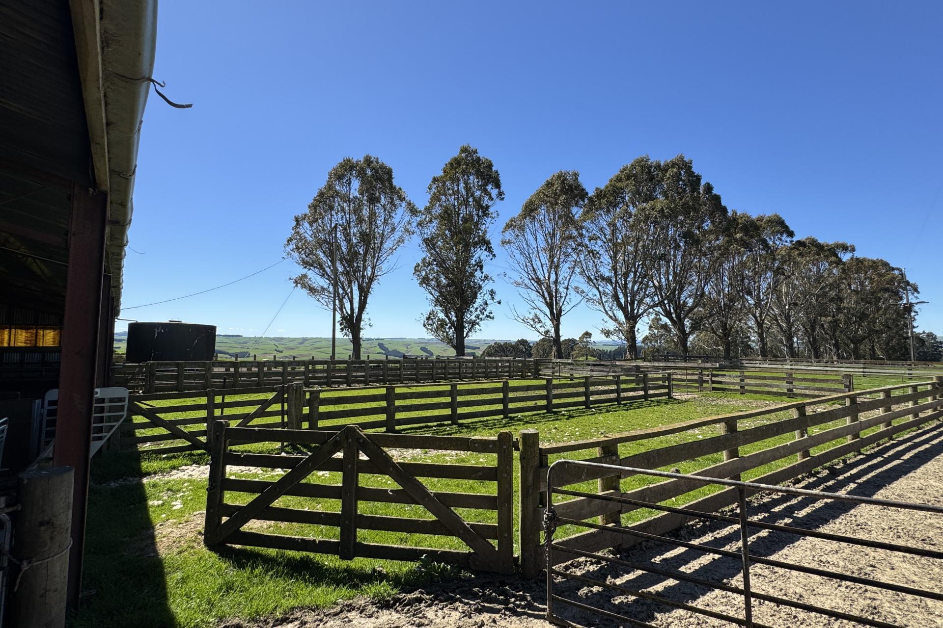 1680 Mahinerangi Road, Lee Stream