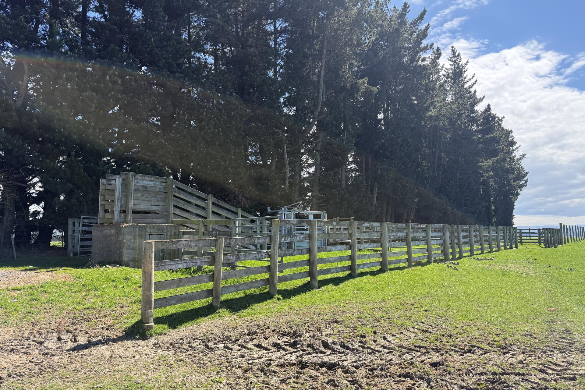 1680 Mahinerangi Road, Lee Stream
