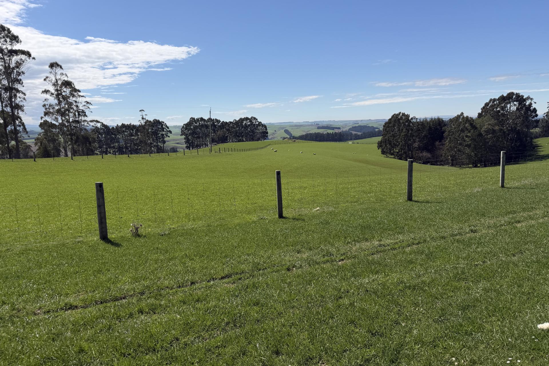 1680 Mahinerangi Road, Lee Stream