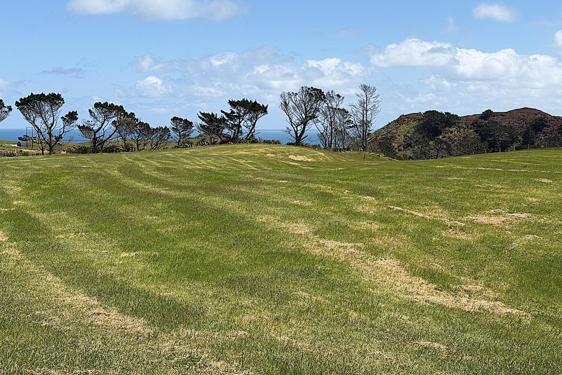 Lot 1 Redhill Road, Te Kopuru