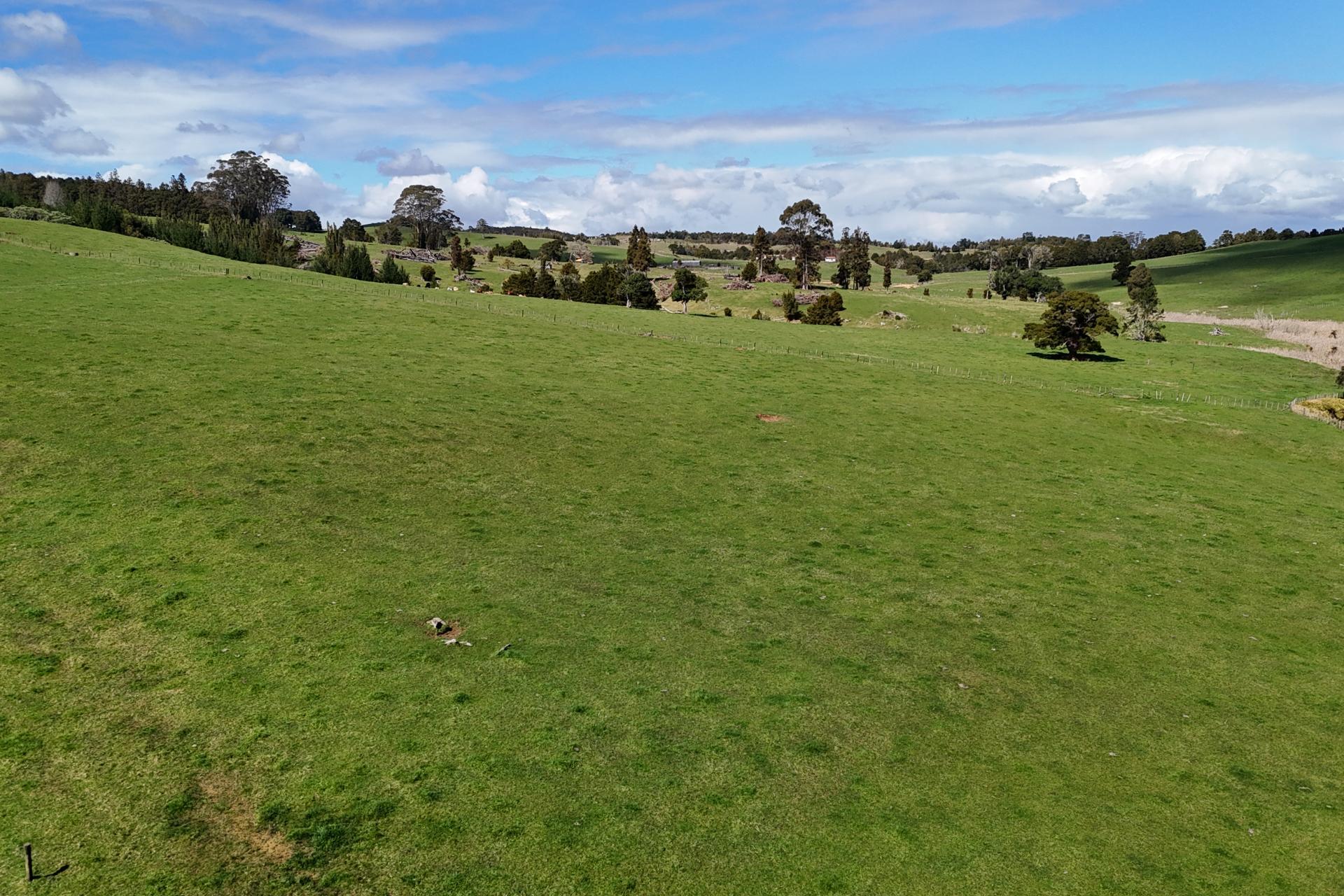 461 Hautapu Road, Pakaraka