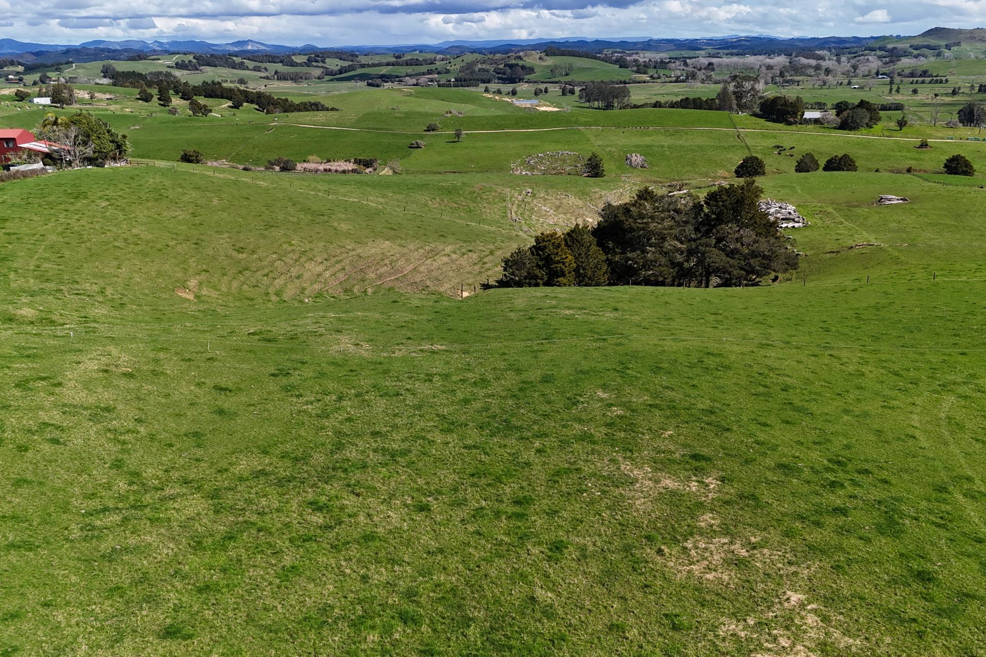 461 Hautapu Road, Pakaraka