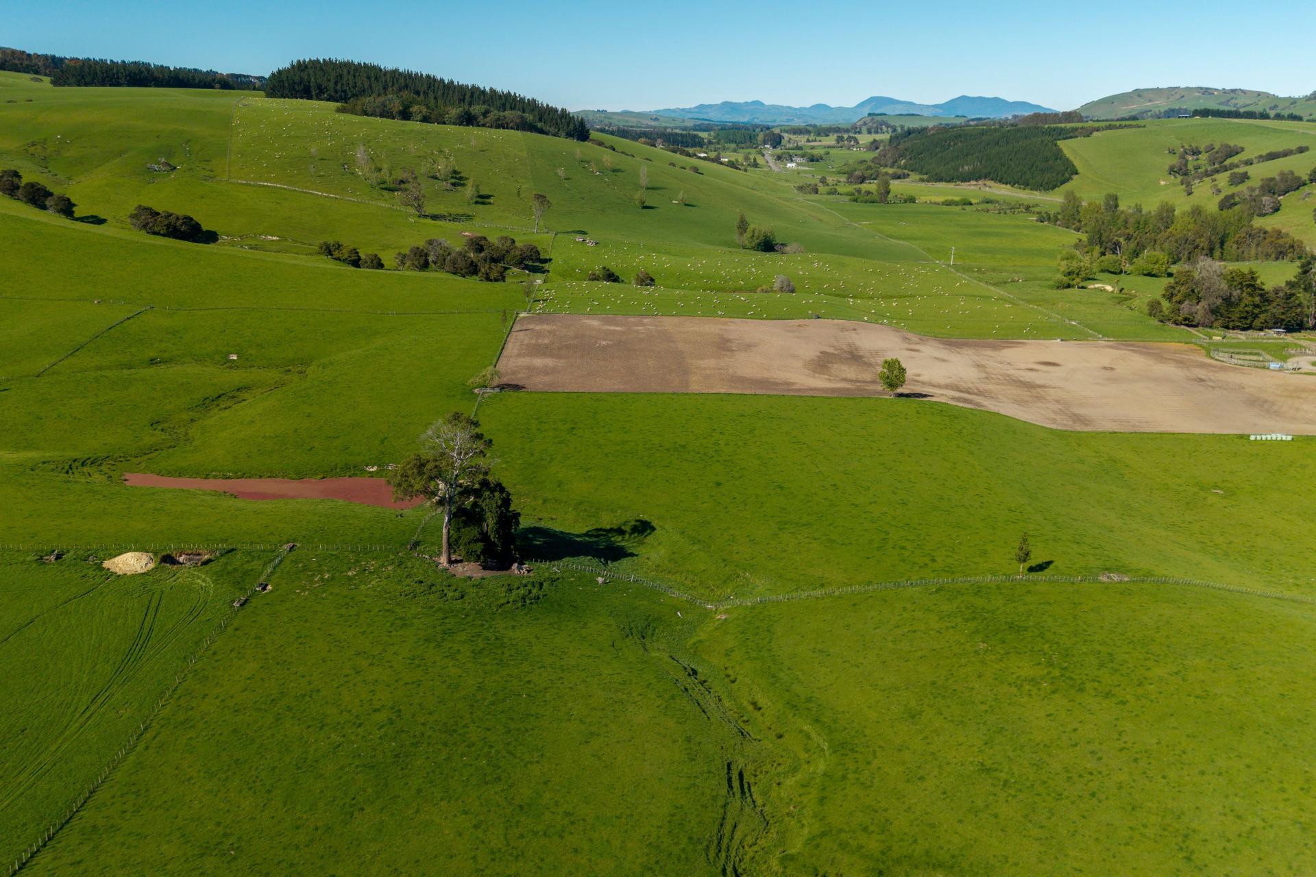 1572 Ponatahi Road, Carterton