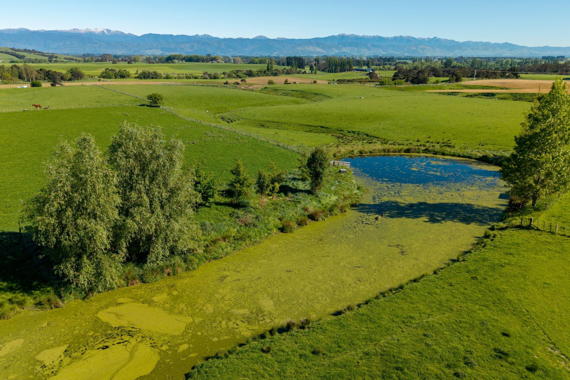 1572 Ponatahi Road, Carterton