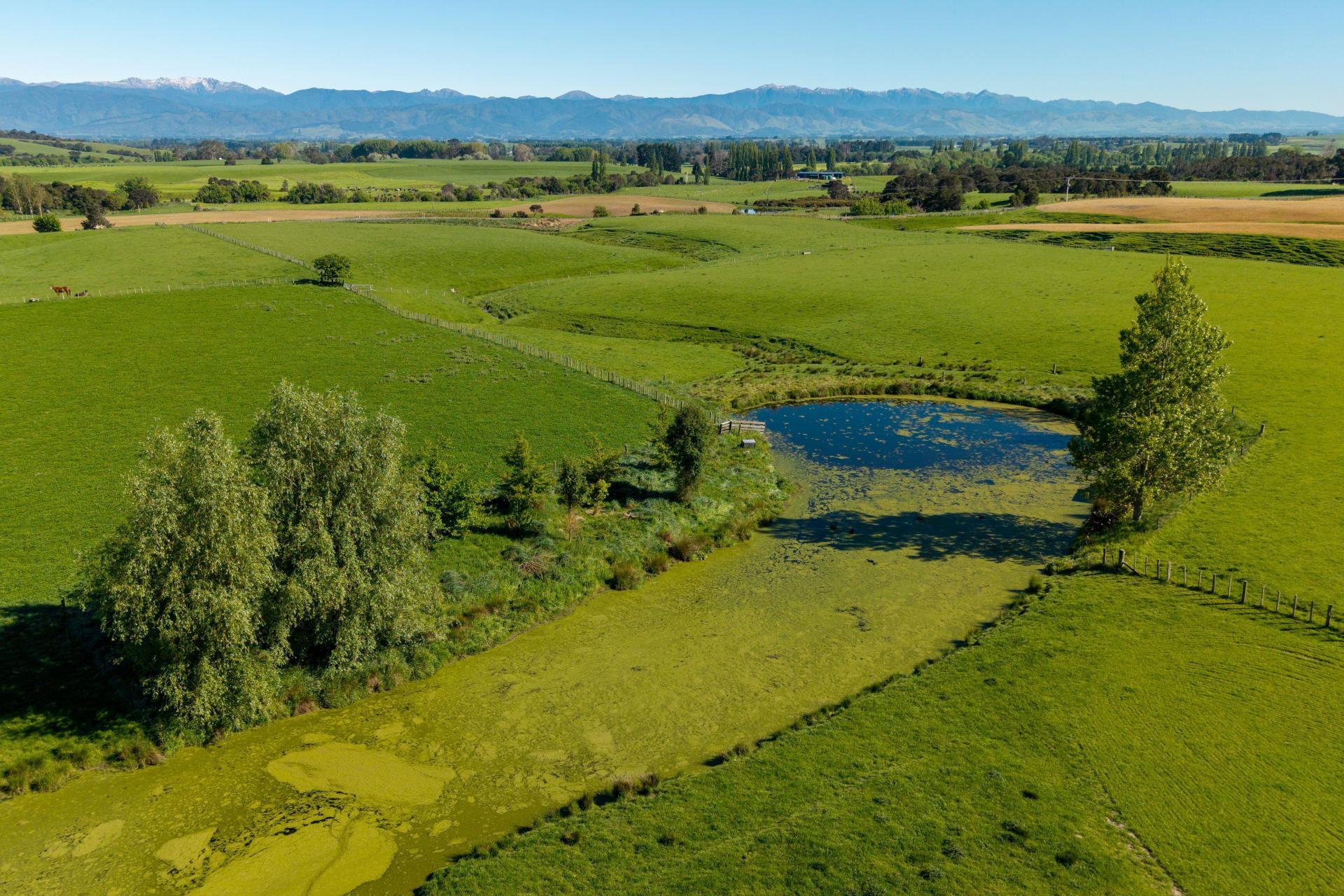 1572 Ponatahi Road, Carterton