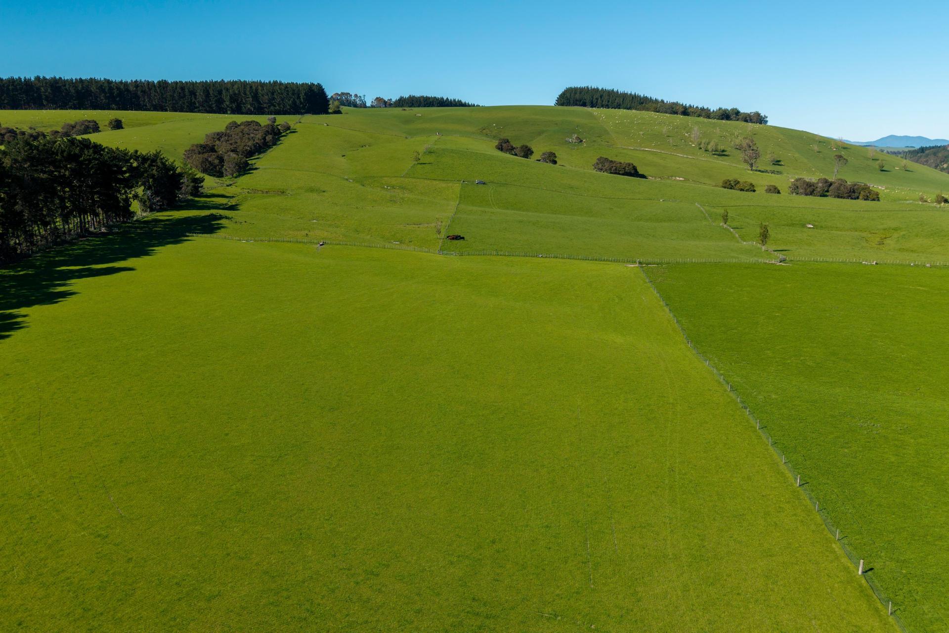 1572 Ponatahi Road, Carterton