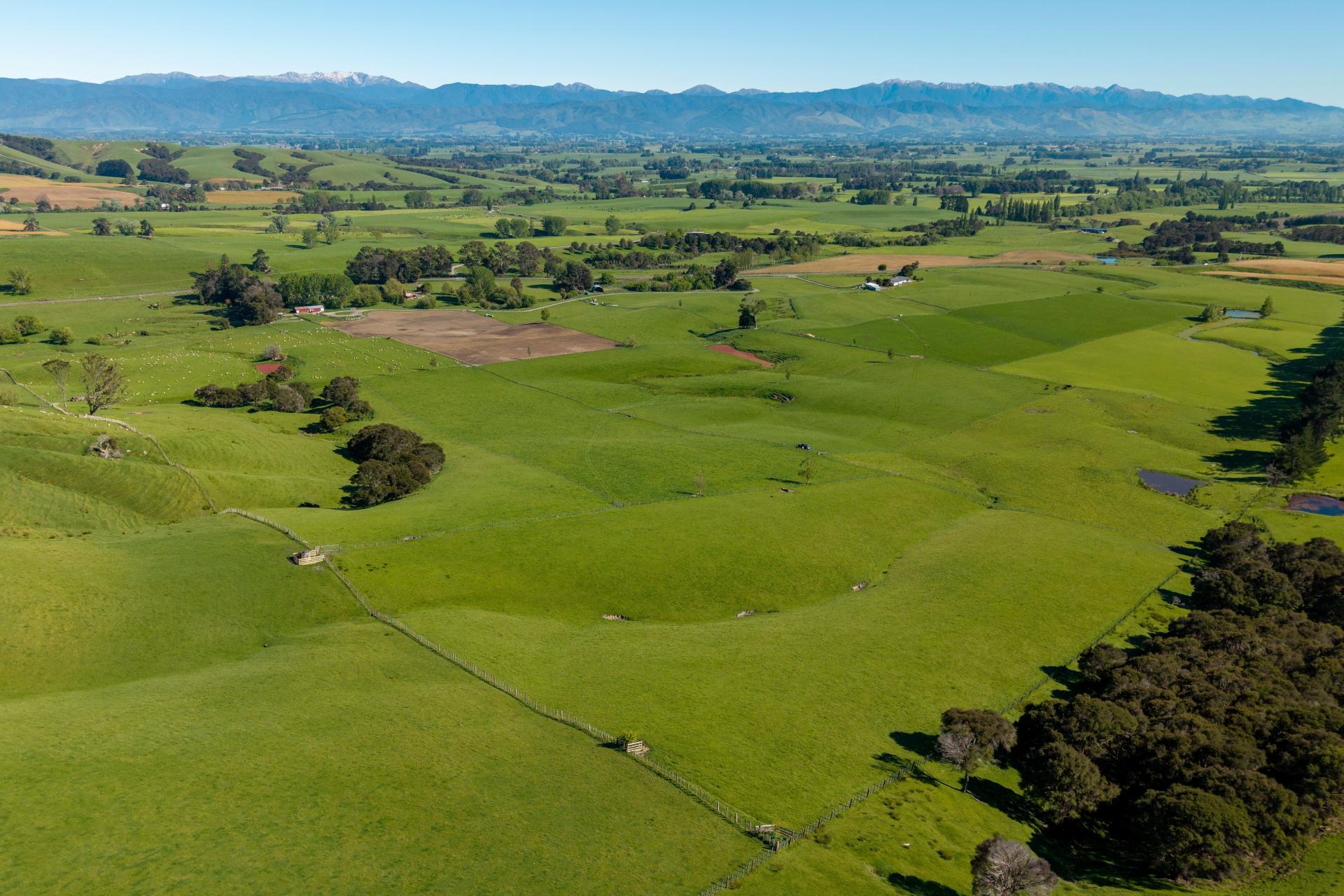 1572 Ponatahi Road, Carterton