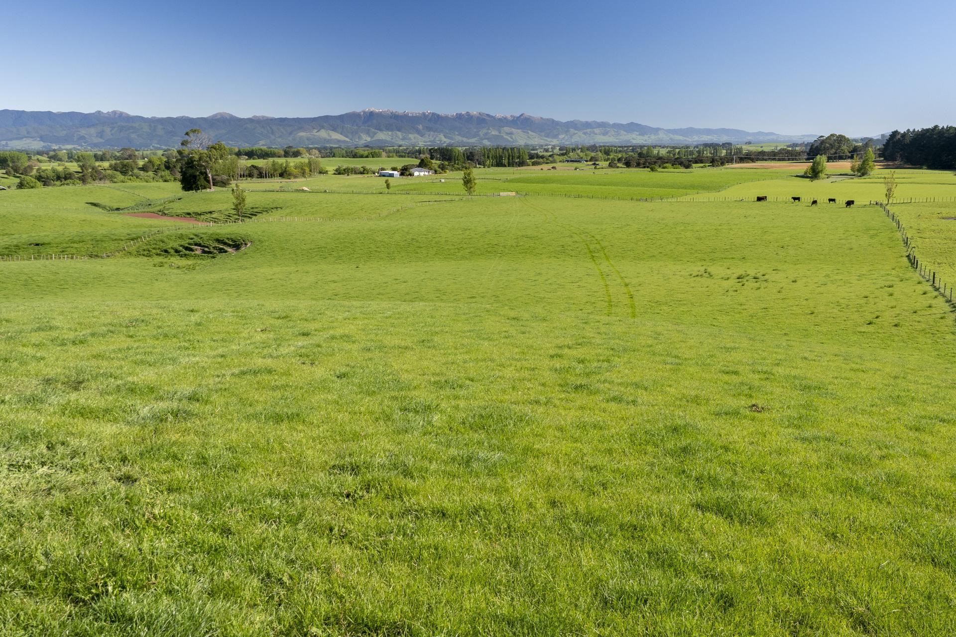 1572 Ponatahi Road, Carterton