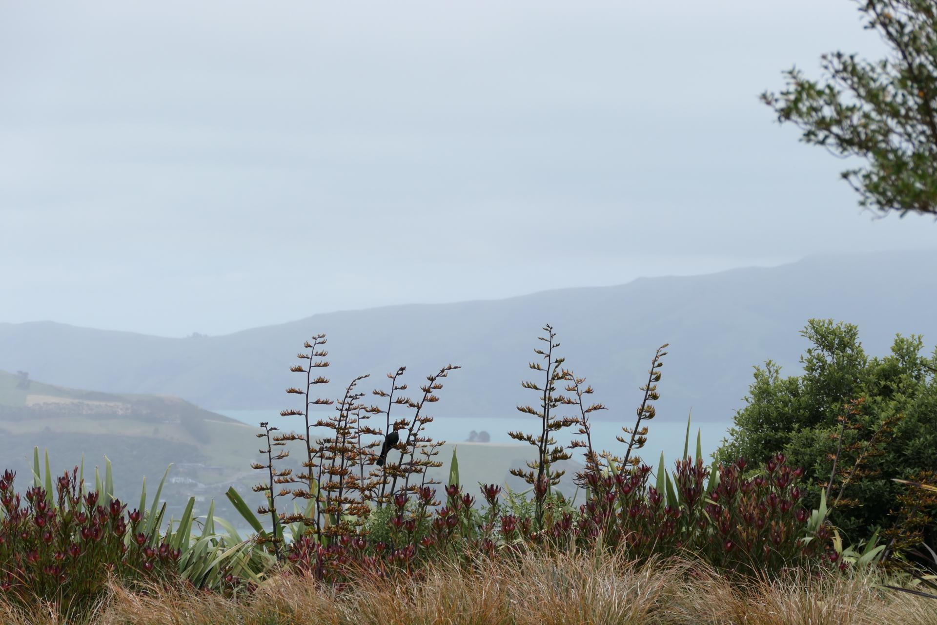 194 Okains Bay Road, Akaroa
