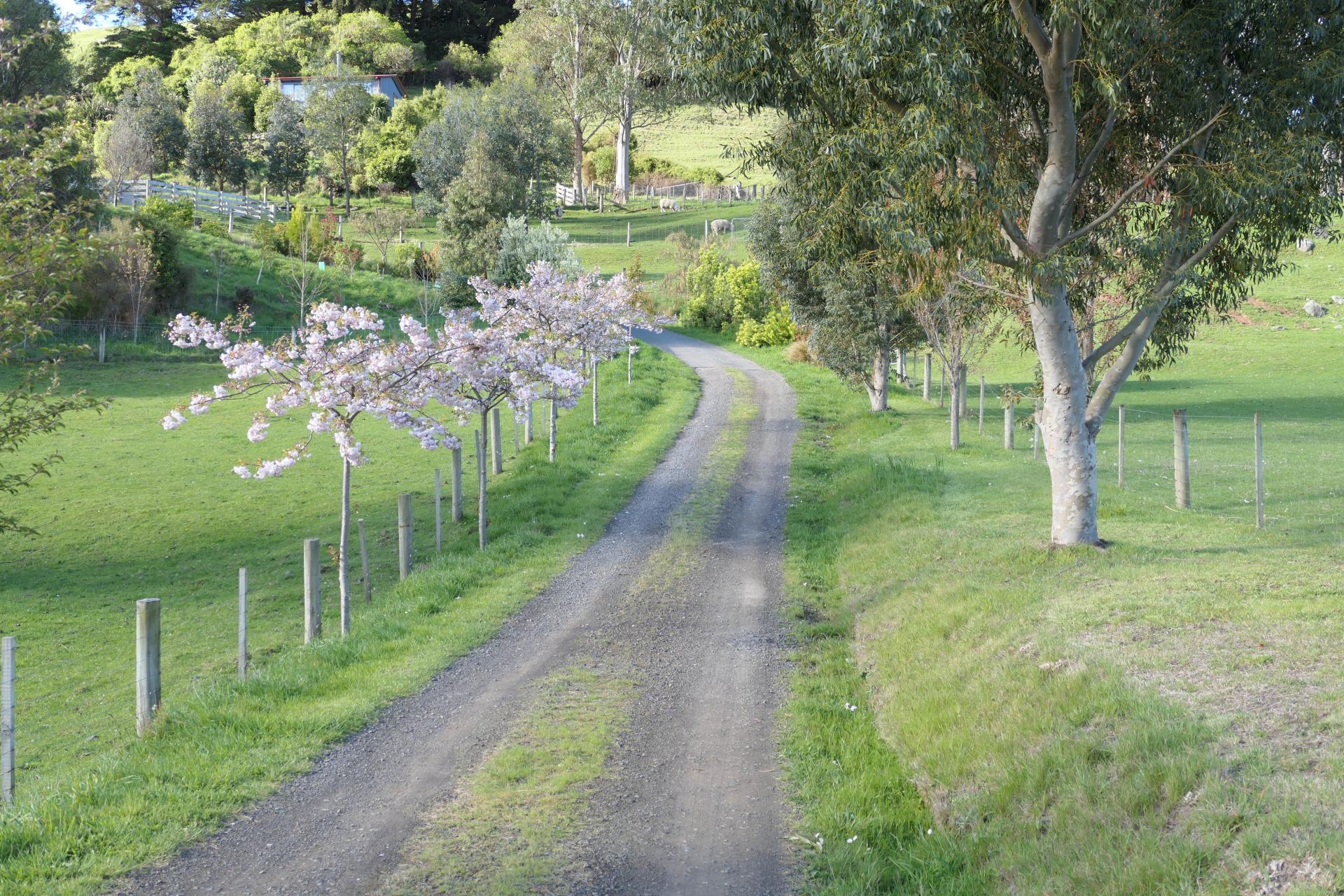 194 Okains Bay Road, Akaroa