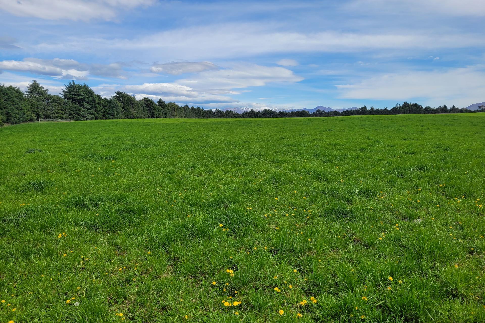 480 Island Cliff - Duntroon Road, Island Cliff