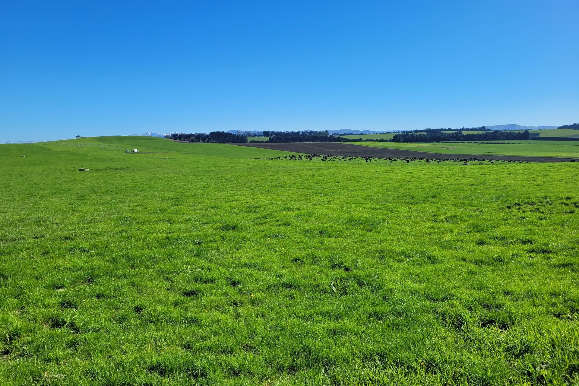 480 Island Cliff - Duntroon Road, Island Cliff