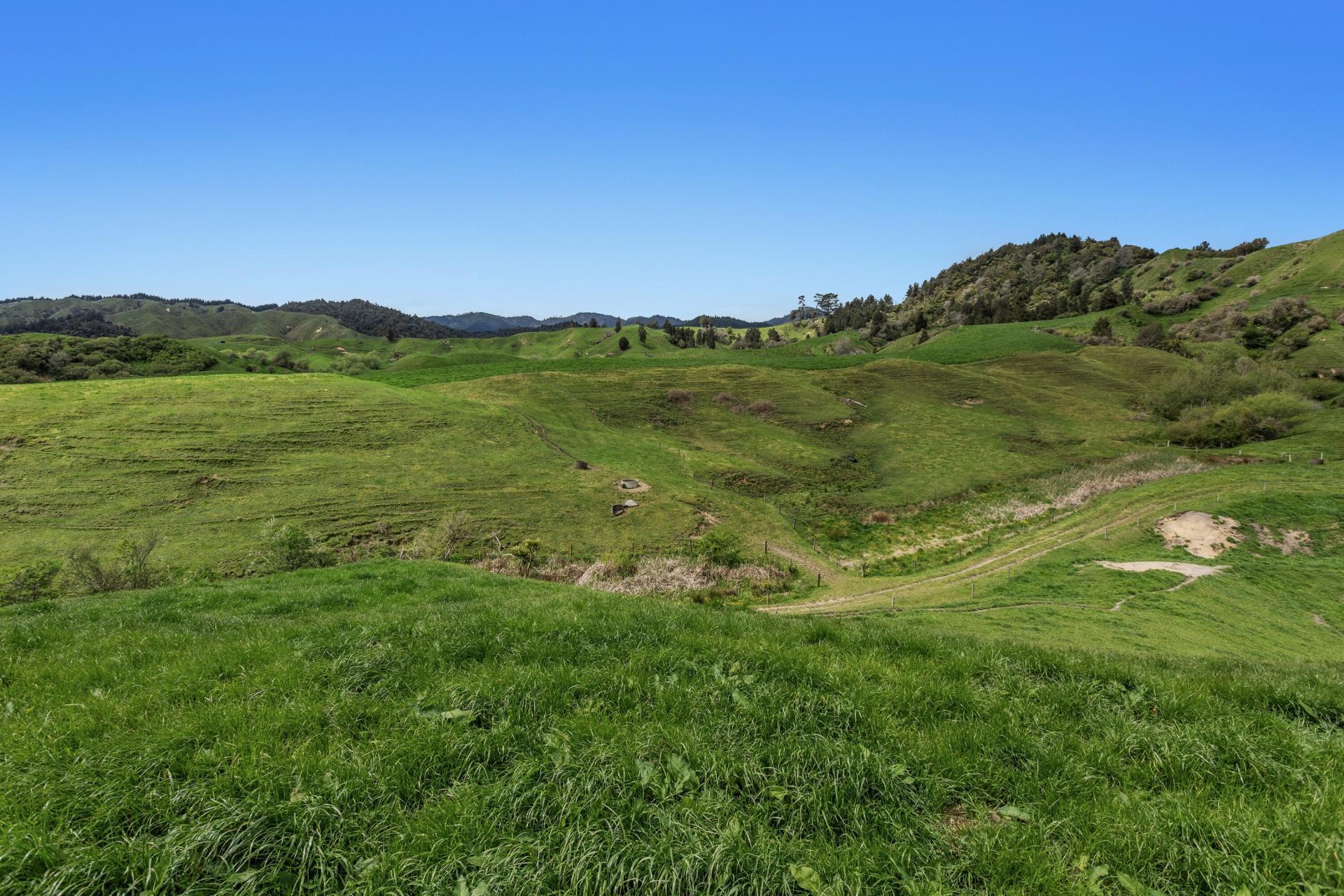 1794 State Highway 2 East, Nukuhou