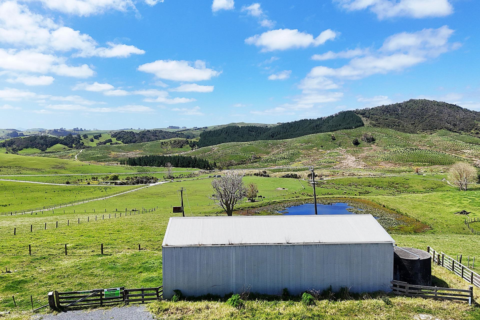 Lot 6 Greenhill Road, Ruawai