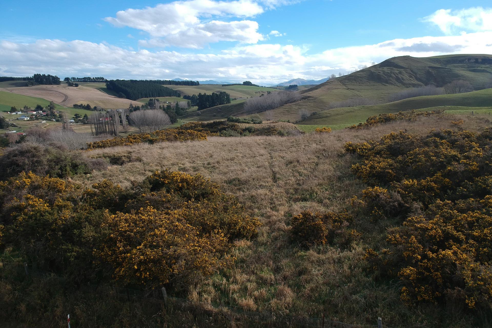 Ngapara-Georgetown Road, Ngapara