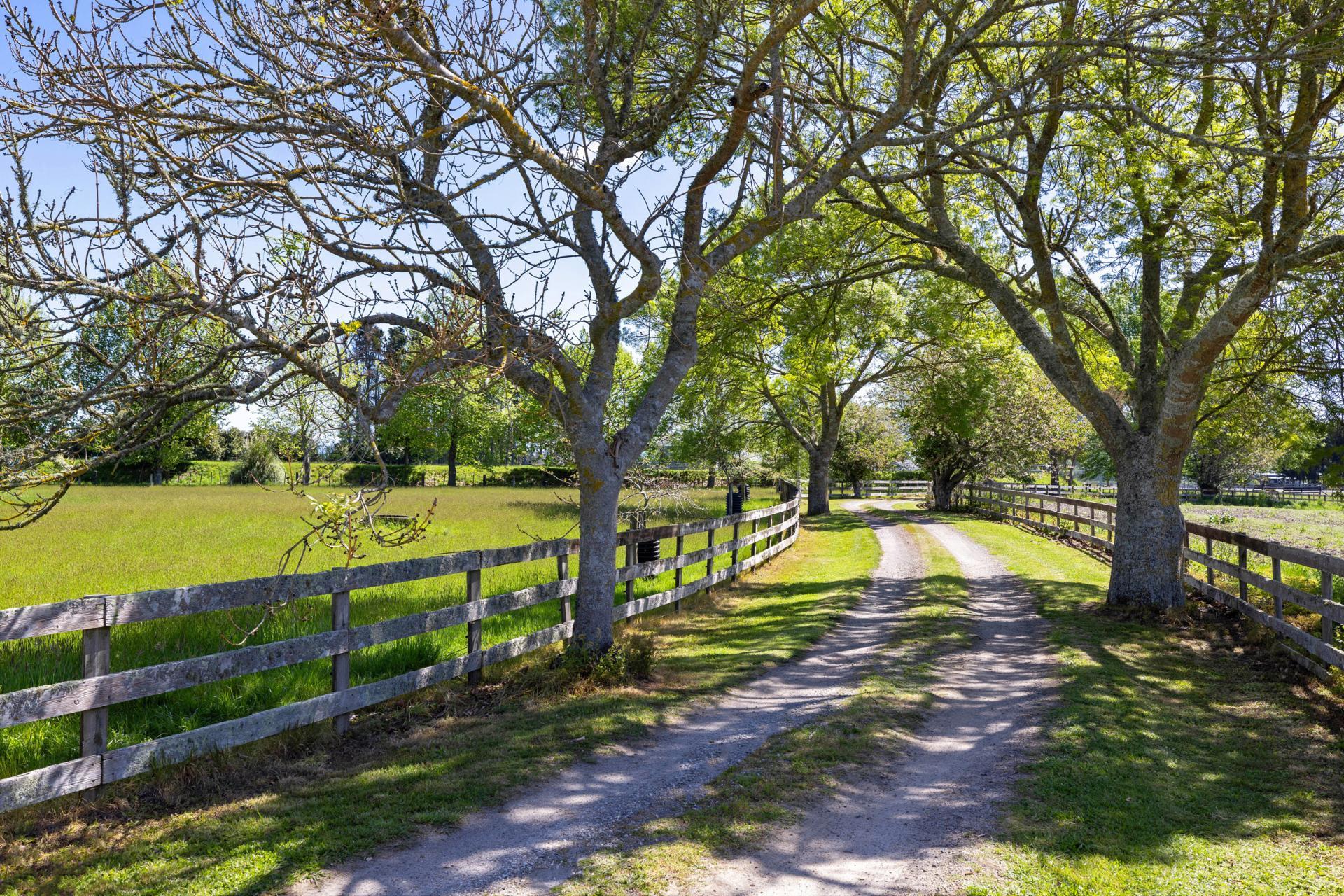 542 Kaipaki Road, Ohaupo