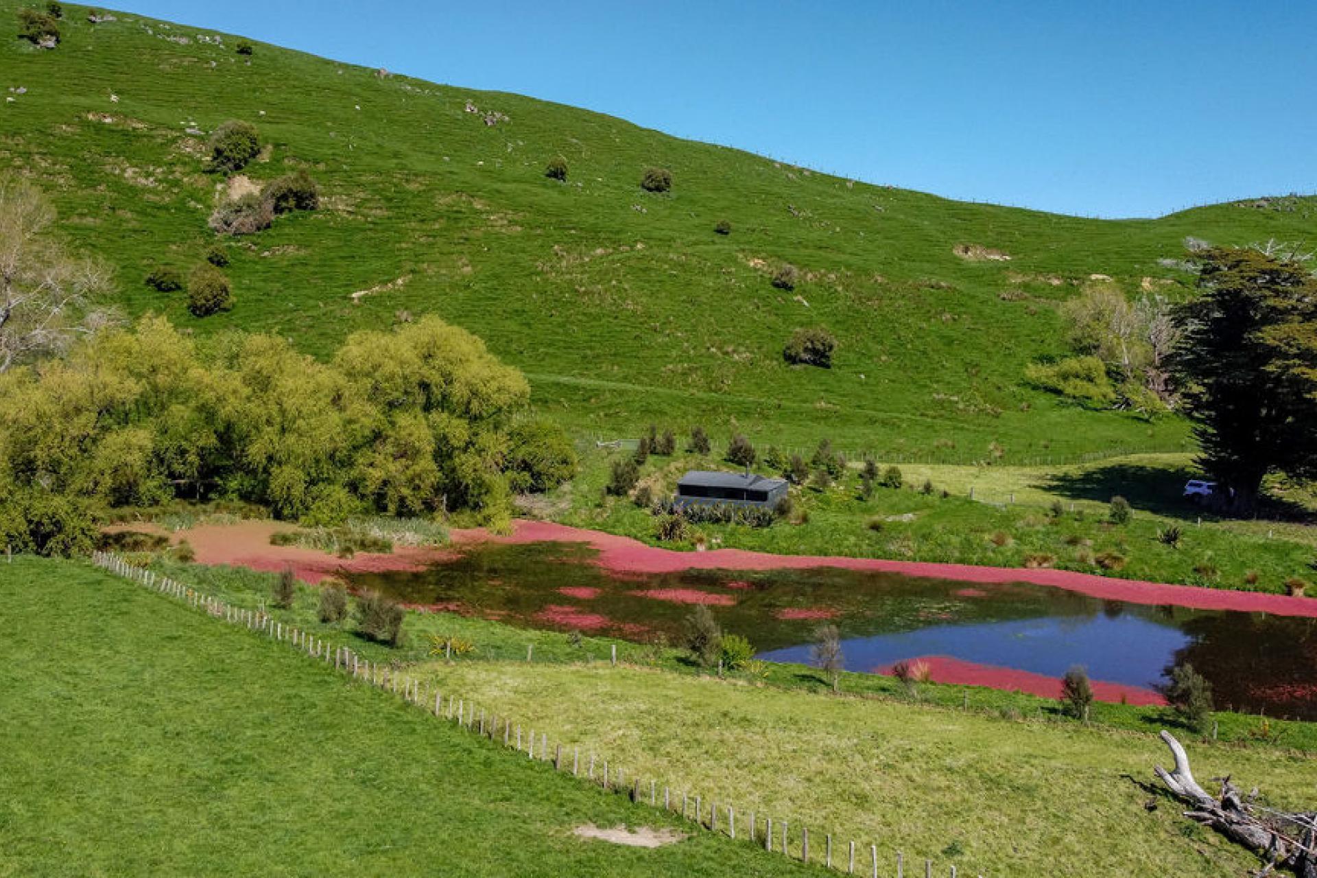 918 Pahiatua Pongaroa Road, Pahiatua