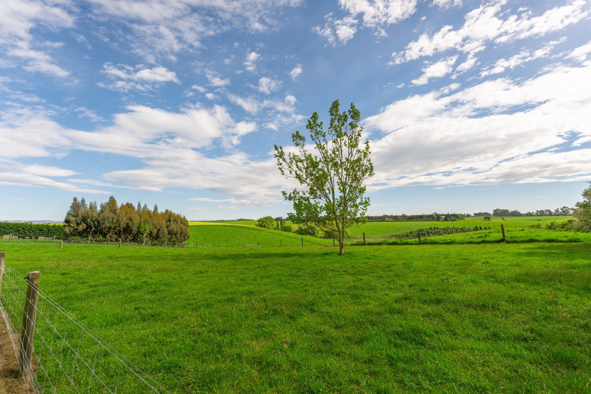 190 Daniels Road, Normanby