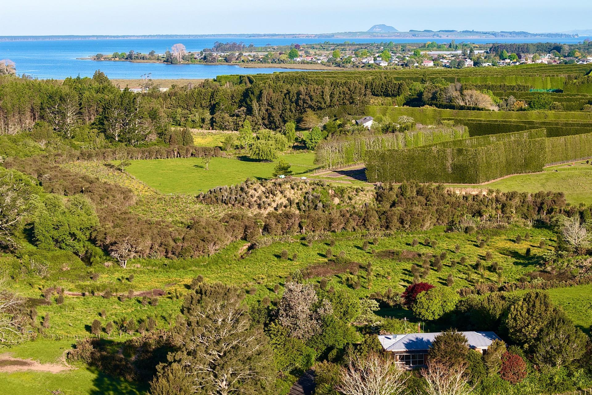 74B Willoughby Road, Katikati