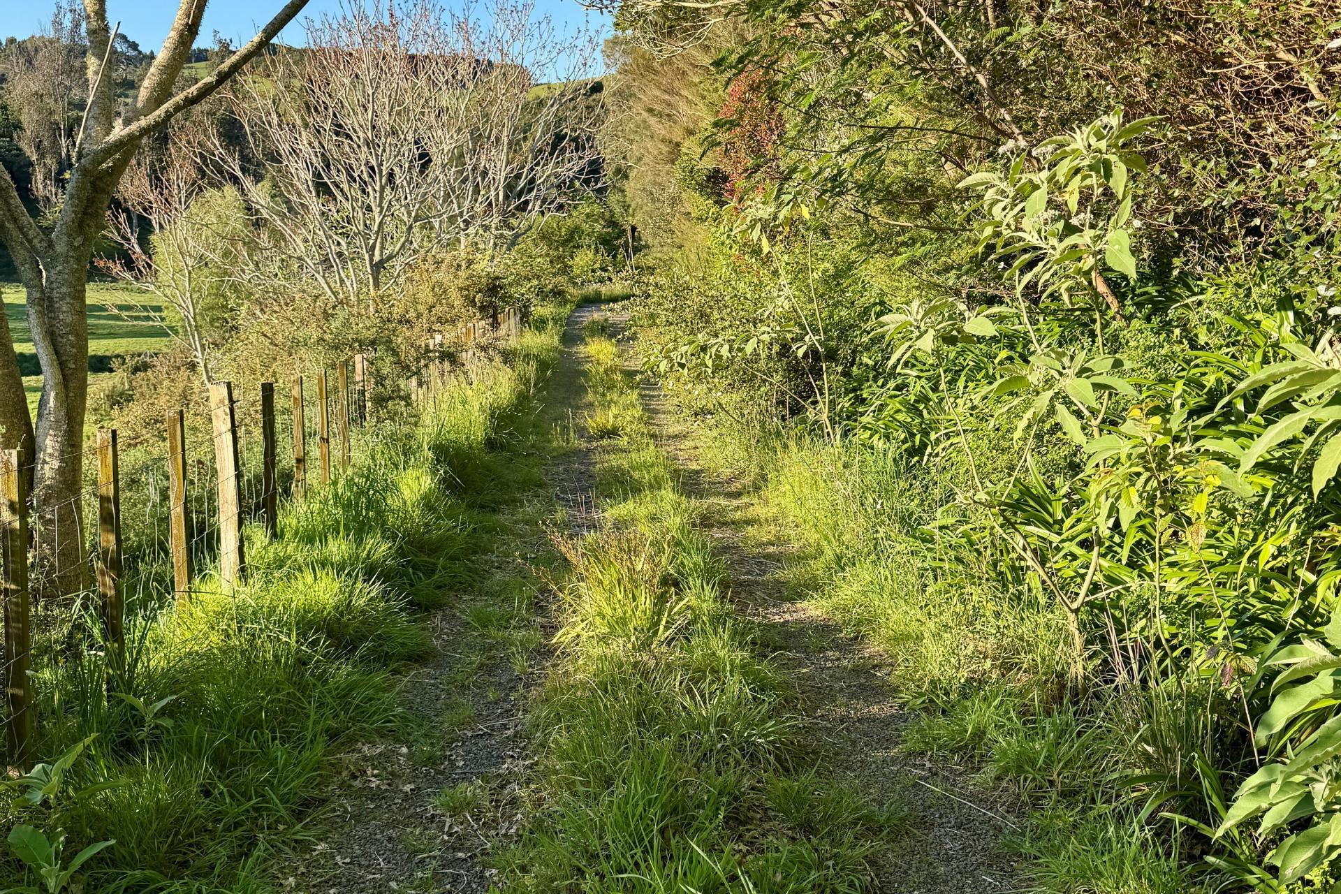 74B Willoughby Road, Katikati
