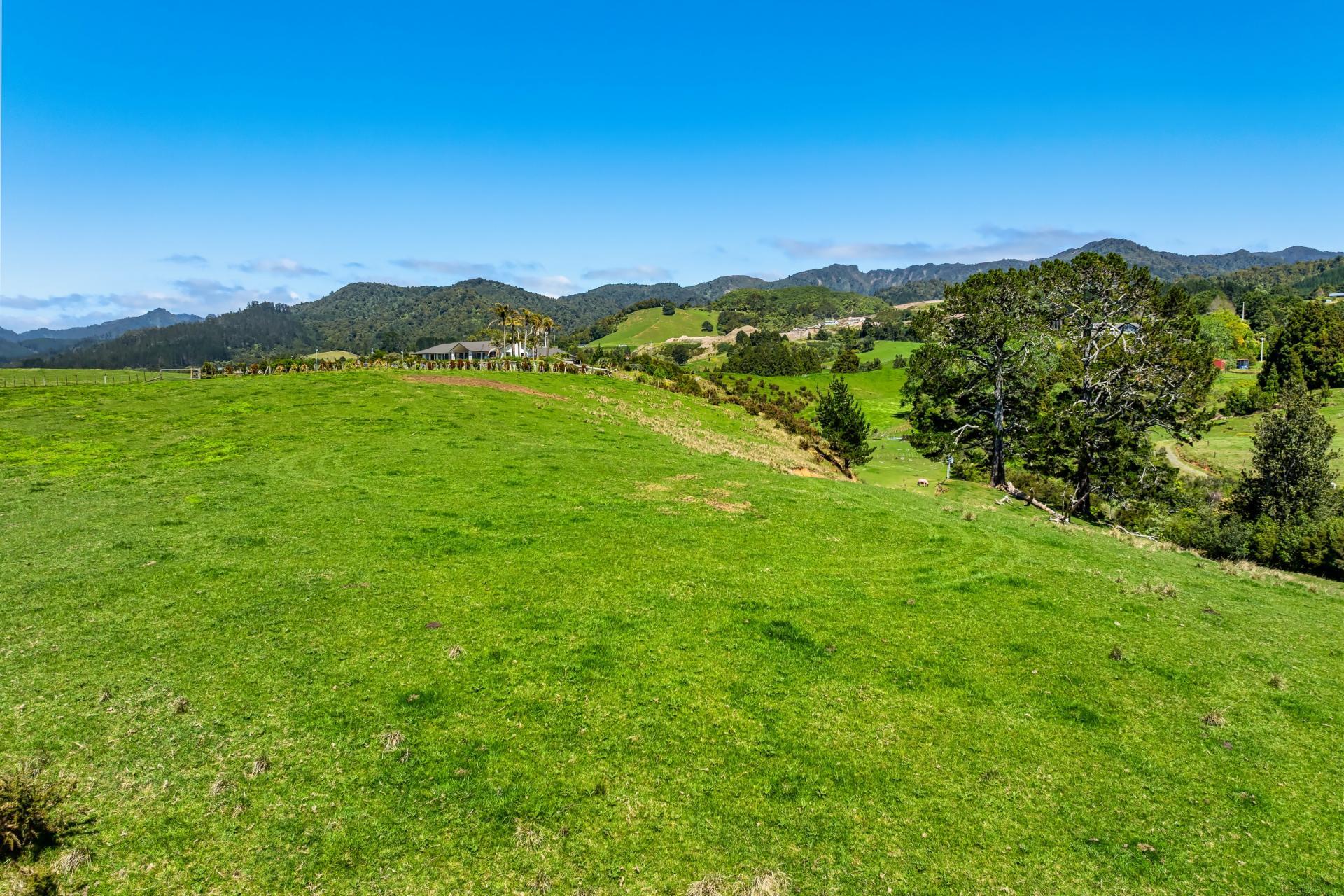 383 Busby Road, Katikati