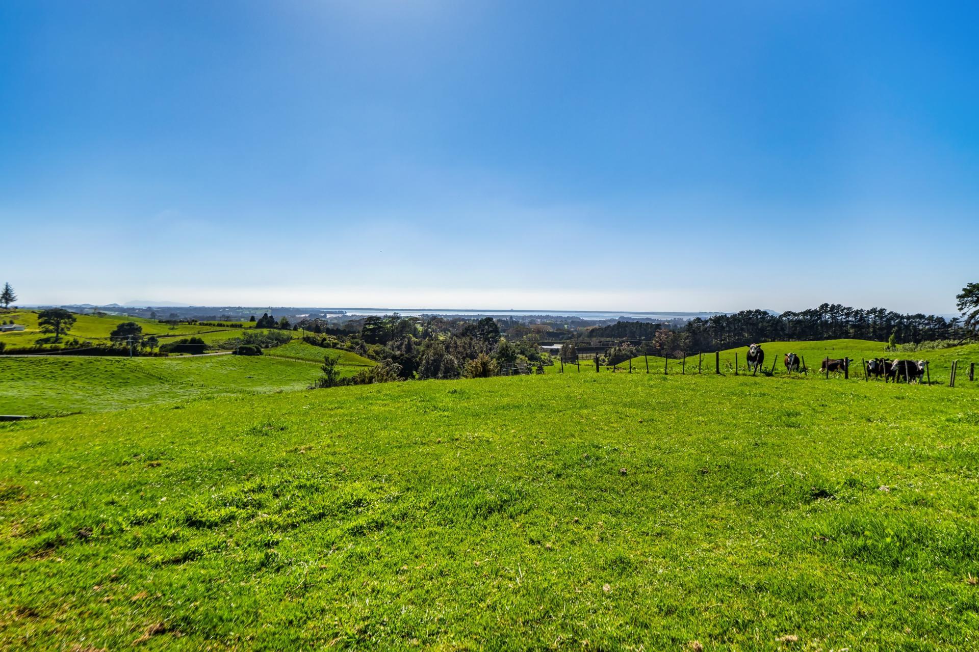 383 Busby Road, Katikati