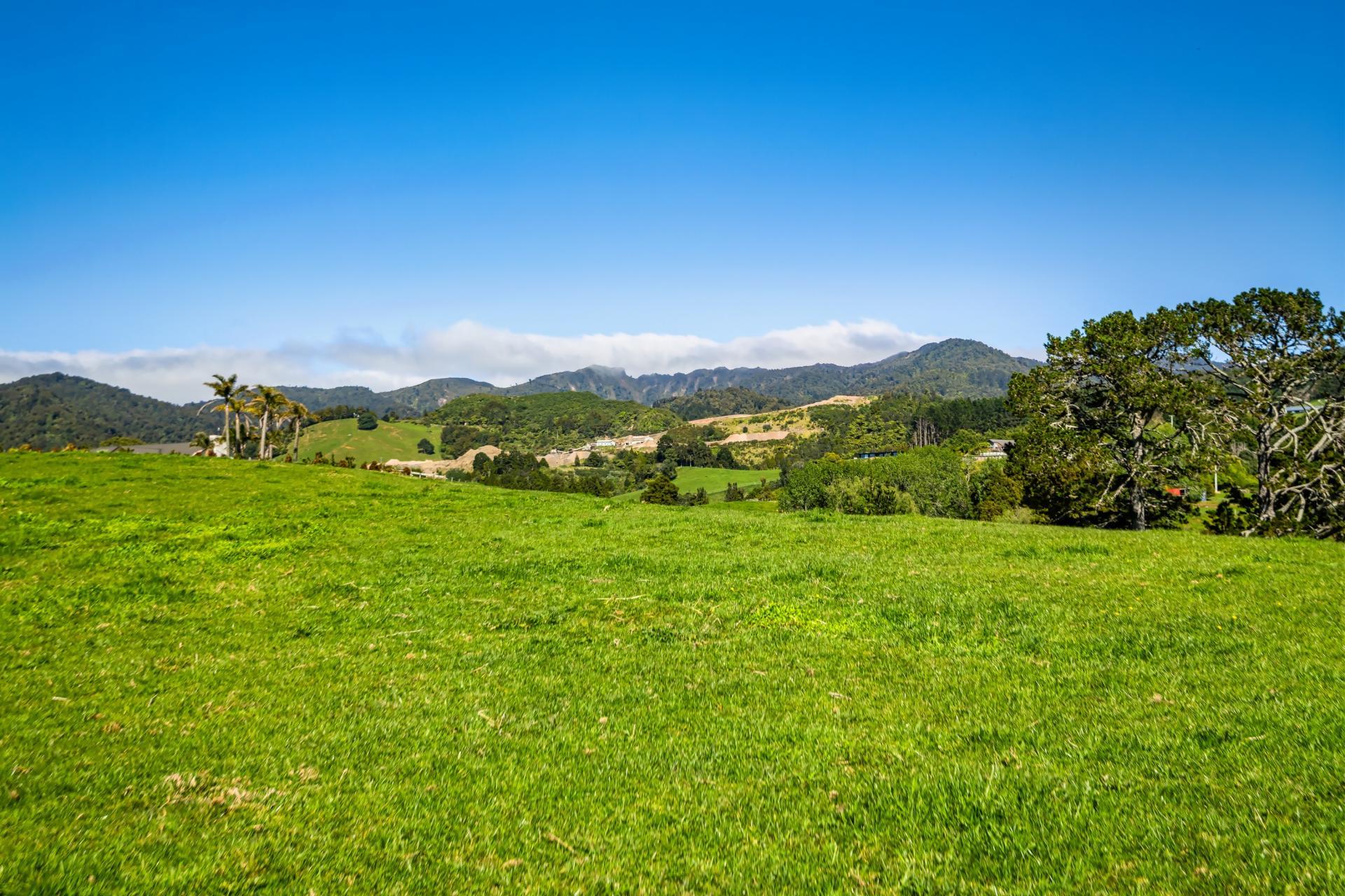 383 Busby Road, Katikati