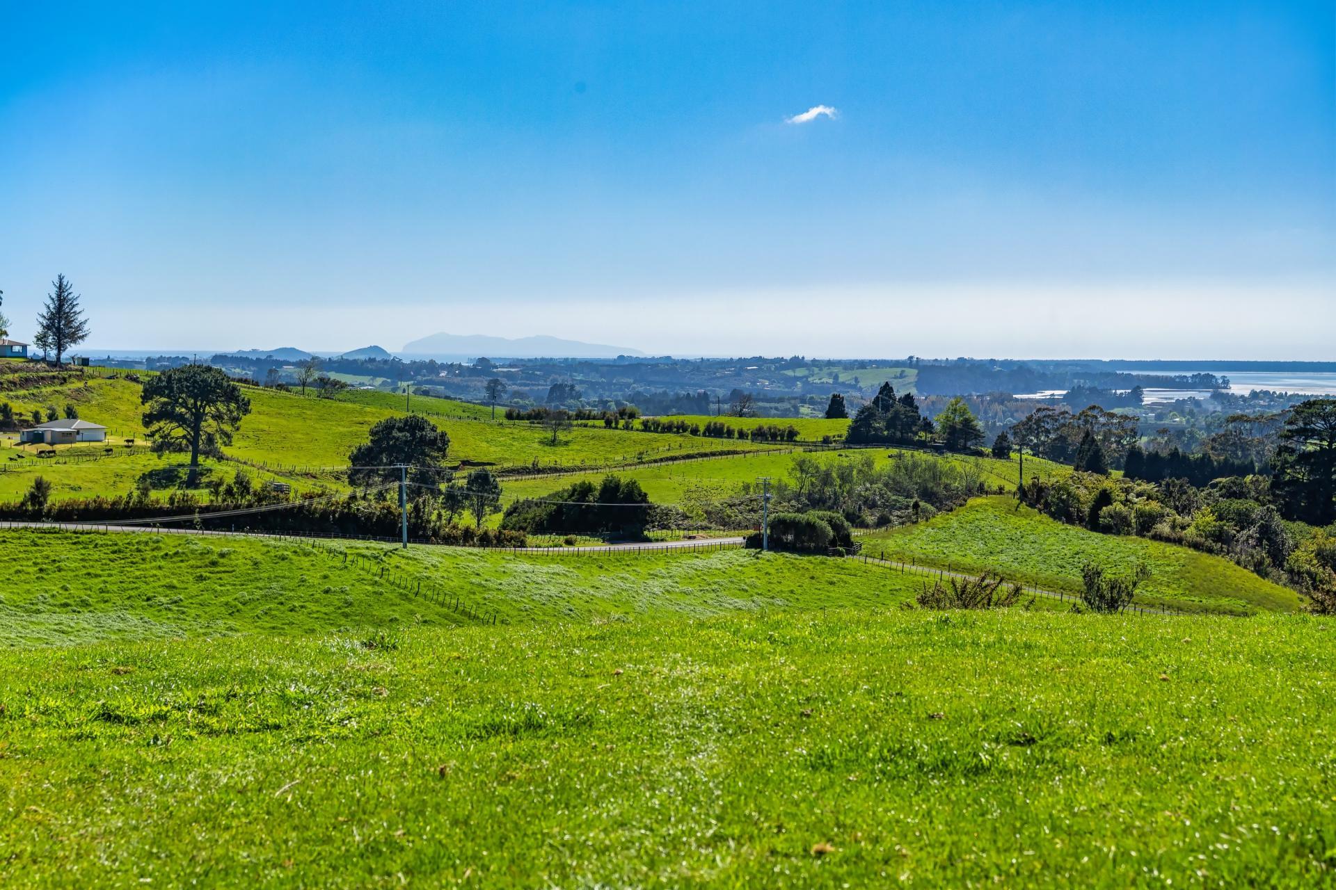 383 Busby Road, Katikati
