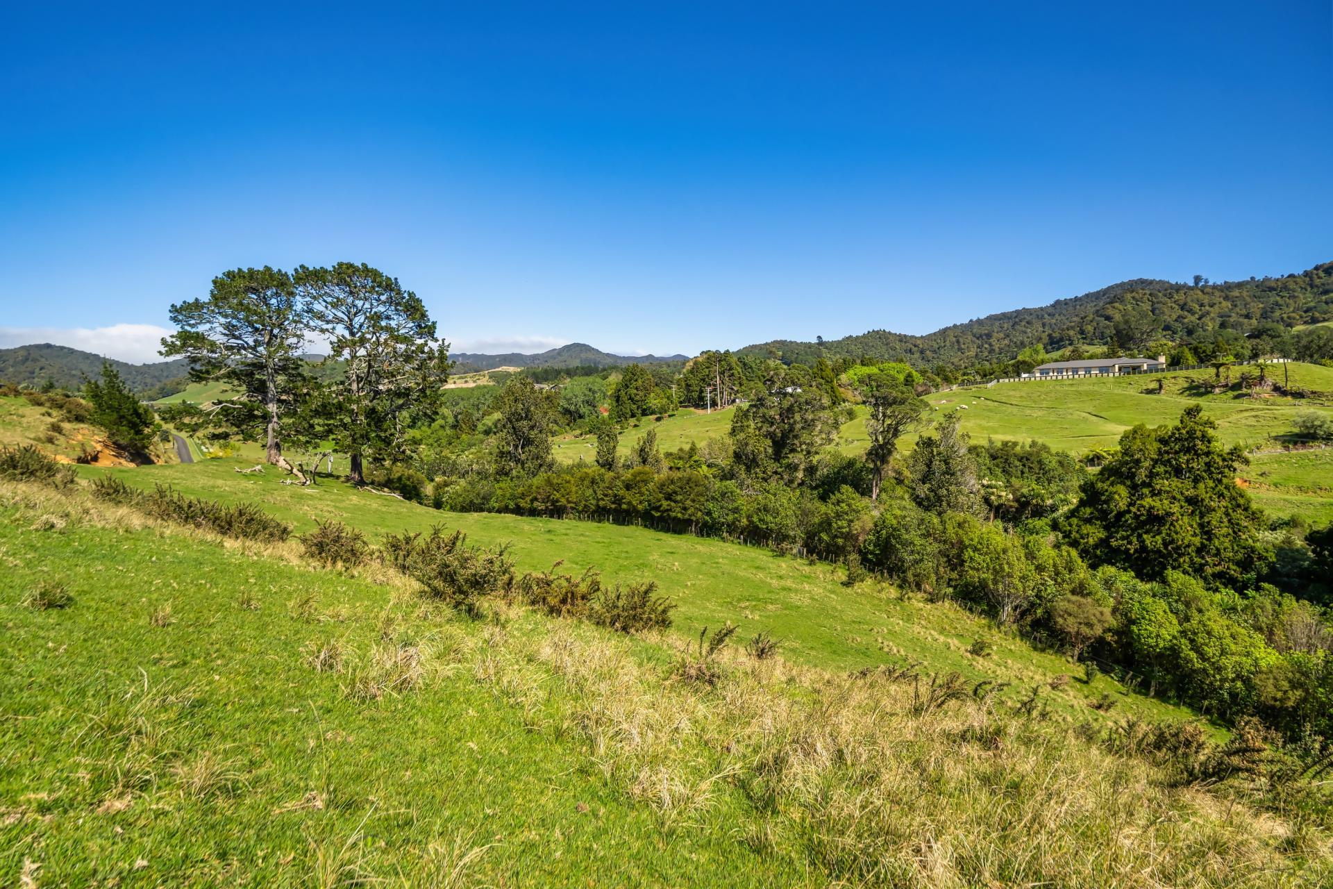 383 Busby Road, Katikati