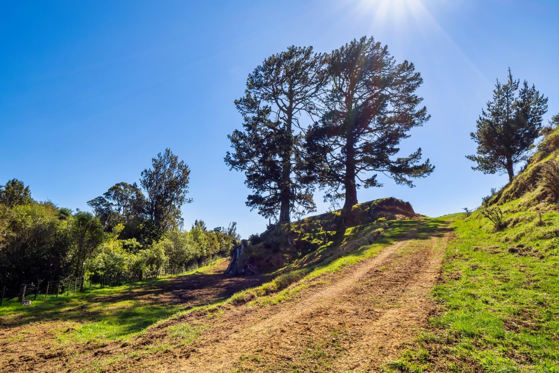 383 Busby Road, Katikati