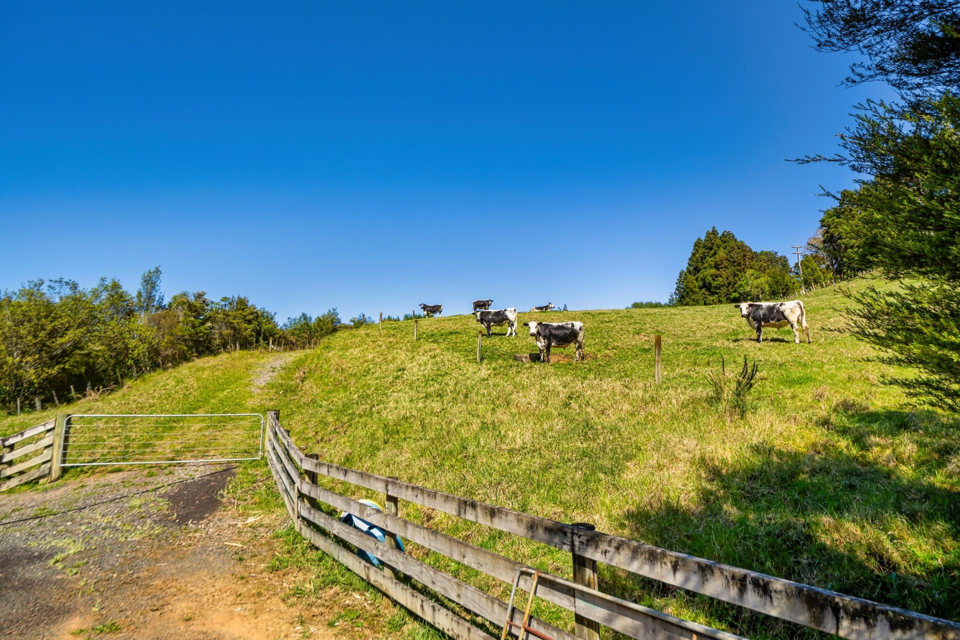 383 Busby Road, Katikati