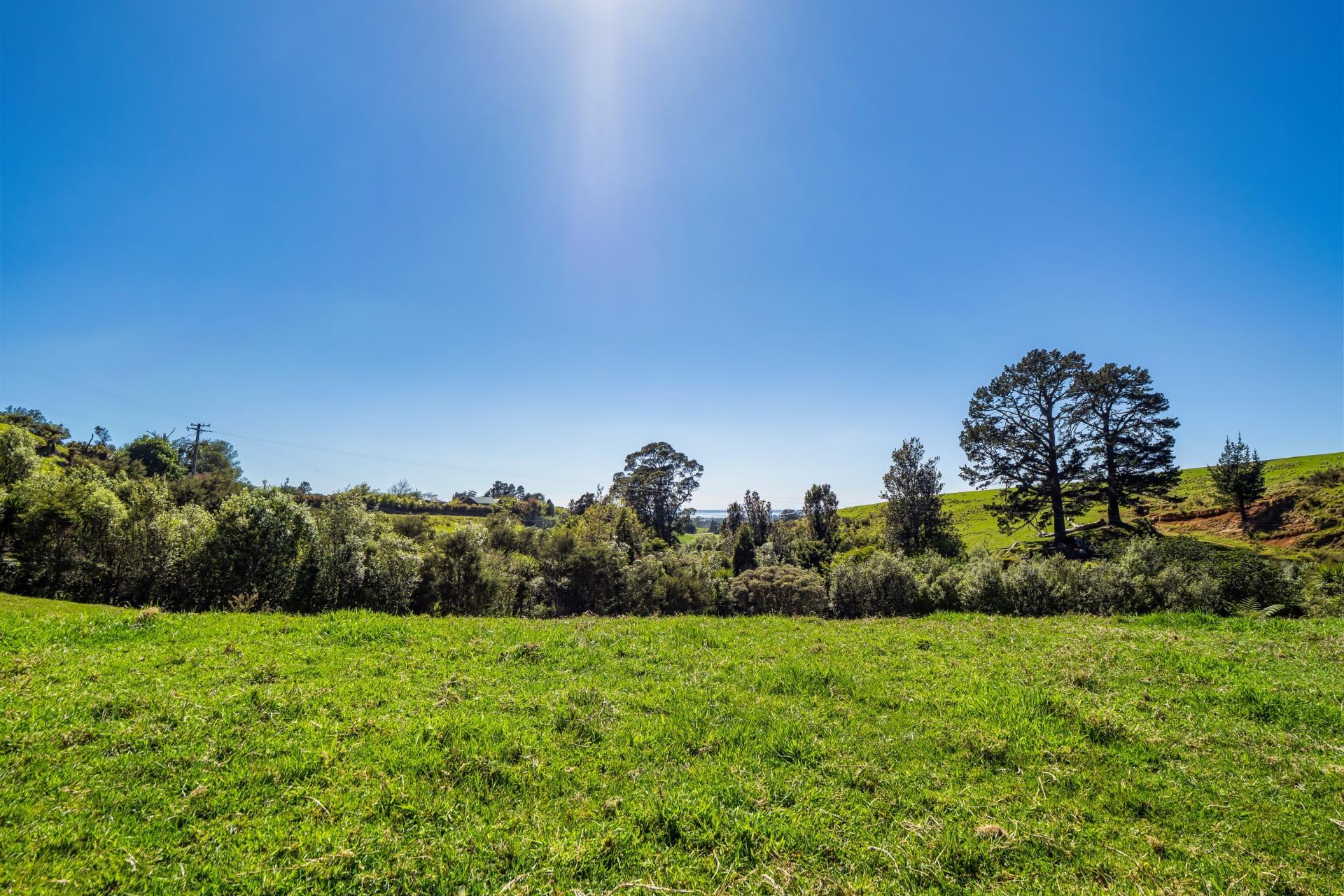 383 Busby Road, Katikati