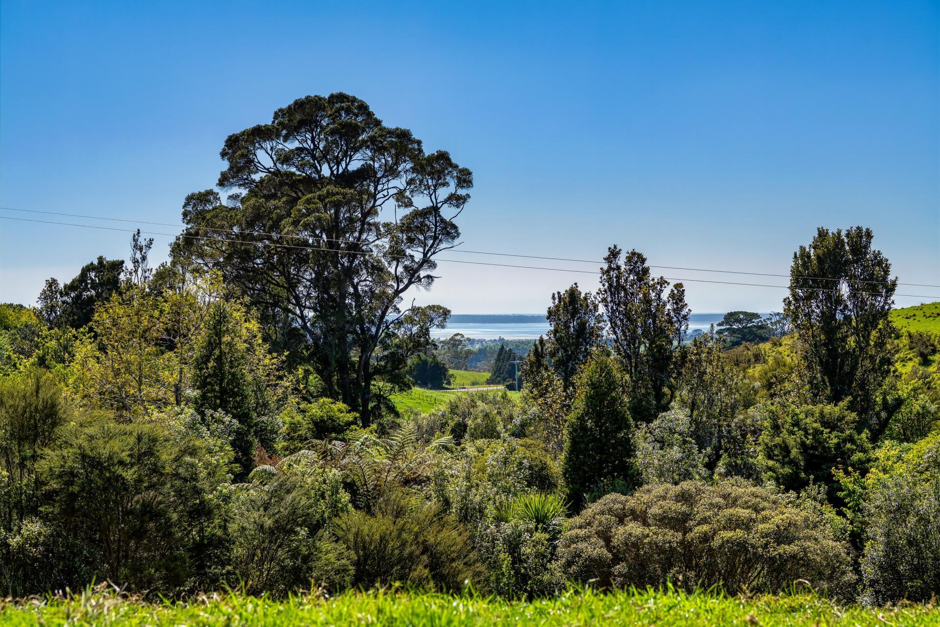 383 Busby Road, Katikati