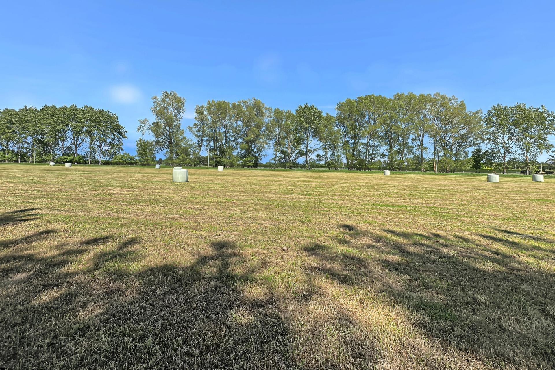 732 Rangiora Leithfield Road, Leithfield